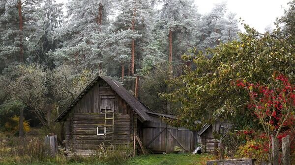   © Sputnik / Альфред Микус