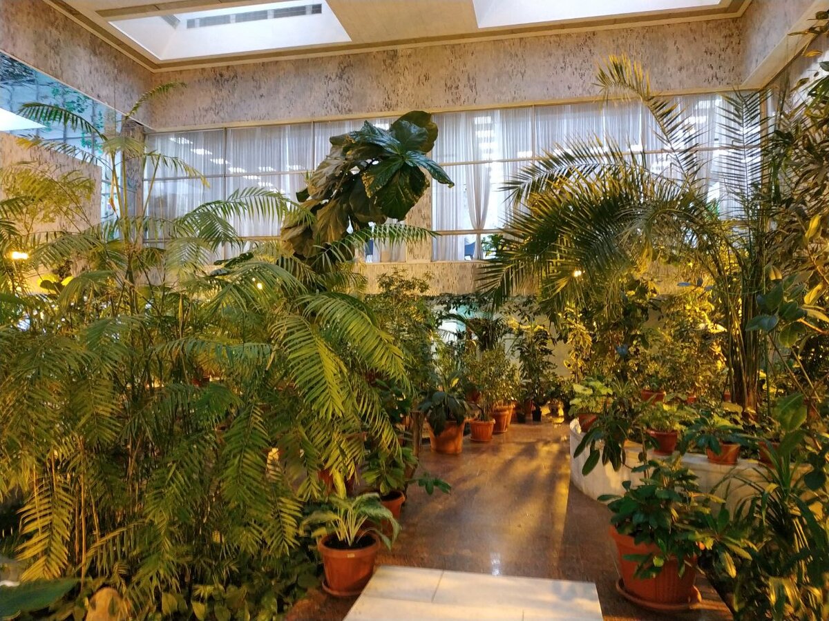 Оранжерея в главном корпусе РУДН. Фото Данилы Васильева
