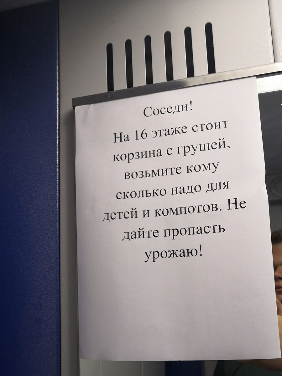 Про лучших соседей