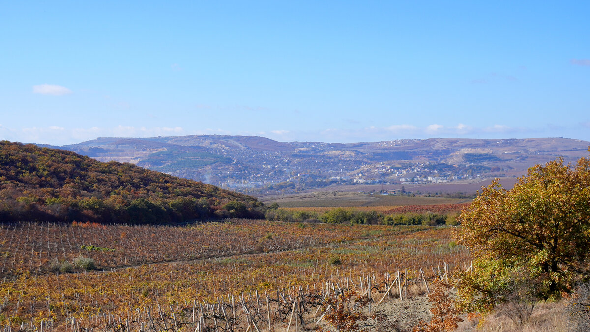 Вид из долины на Севастополь