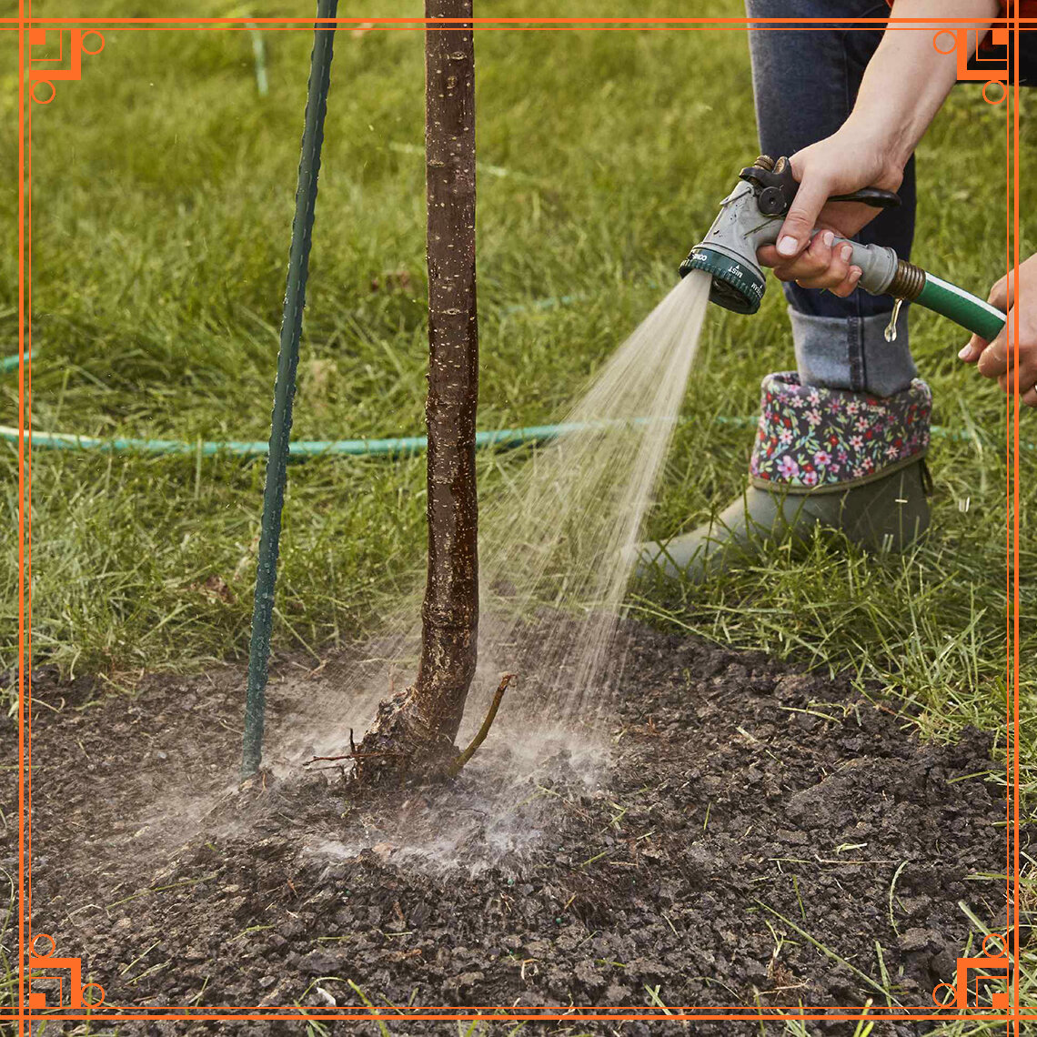 Источник фото: https://supersadovodd.ru/подзимний-влагозарядный-полив/html