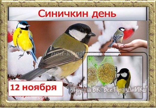 Делимся и обсуждаем