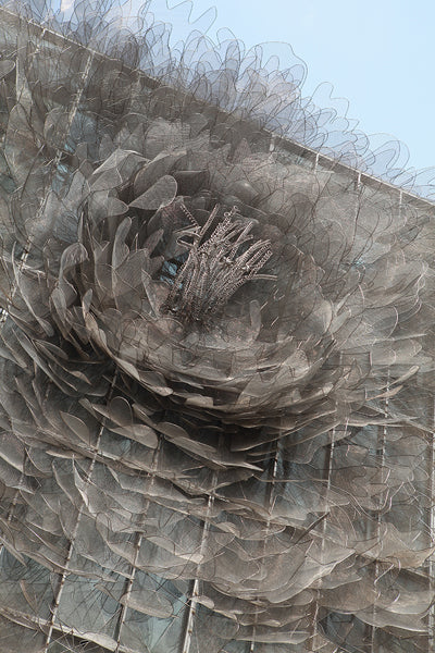 Цветок пиона, сконструированный на здании музея