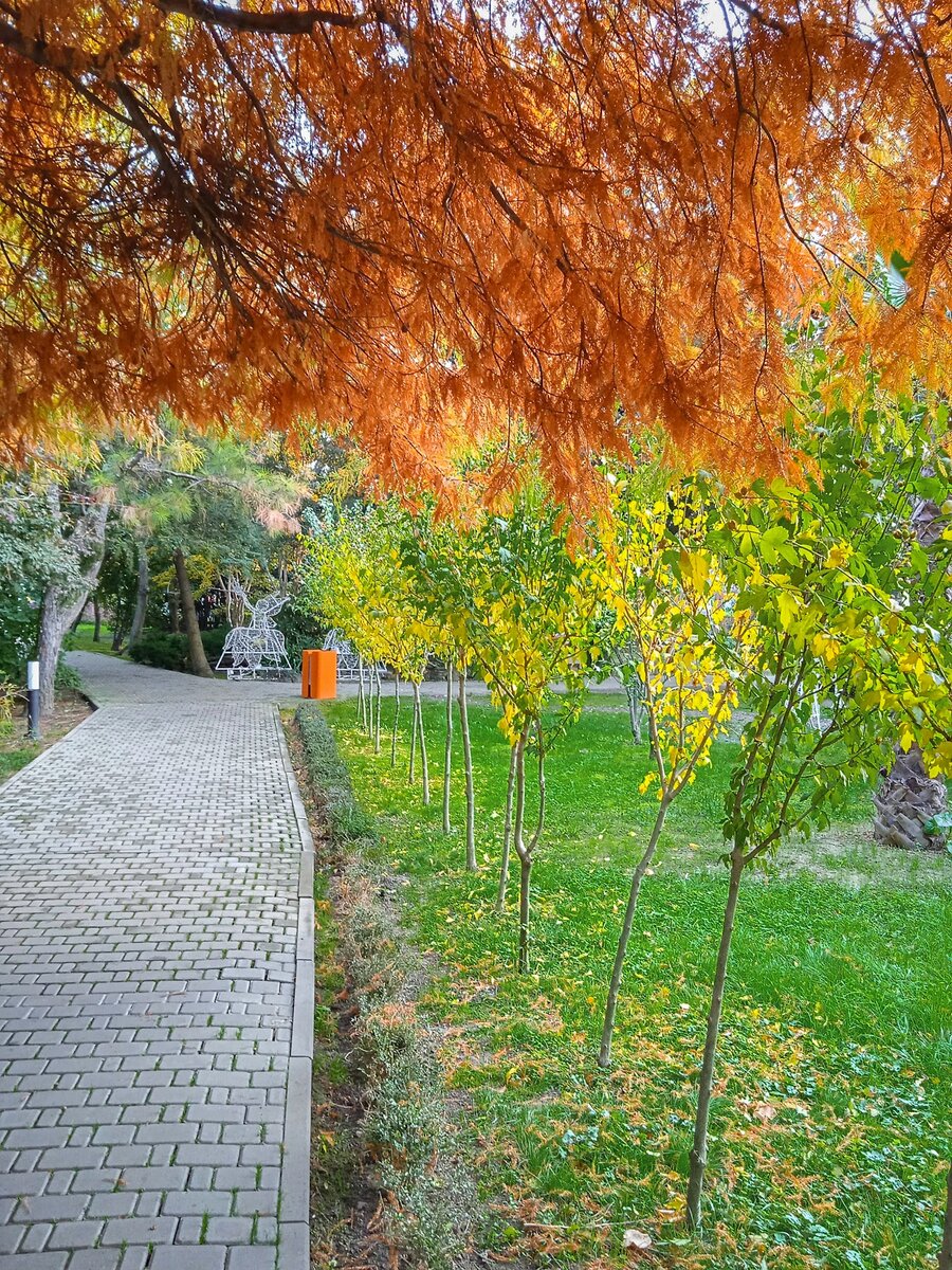 Осень в парке