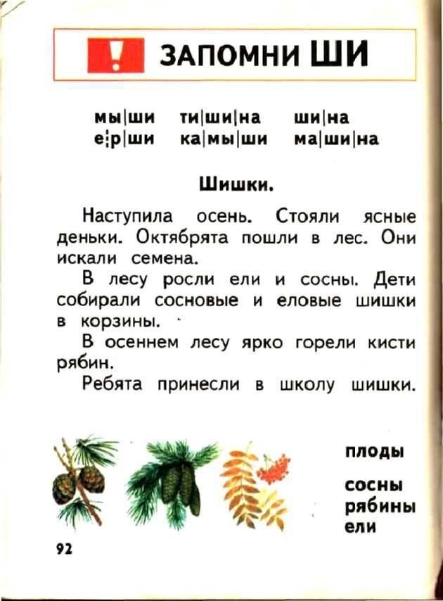      Доктор педагогических наук Всеслав Горецкий построил свой букварь не согласно алфавиту, а по частоте употребления букв в речи и на письме: открывали книгу «а» и «о», а закрывали «ь» и «ъ».-46