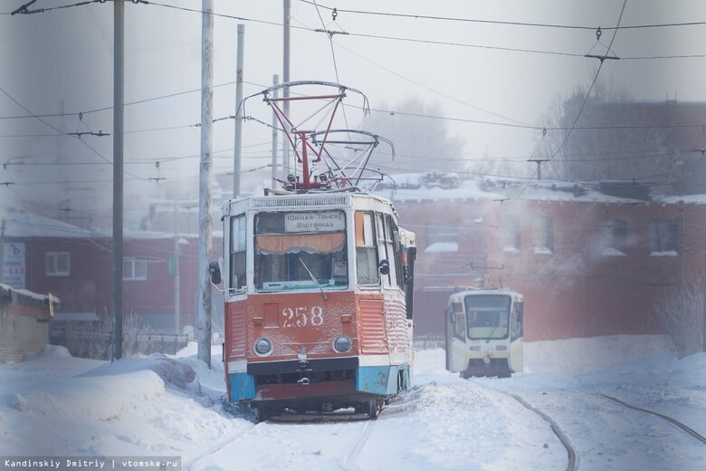    Фото: Дмитрий Кандинский / vtomske.ru