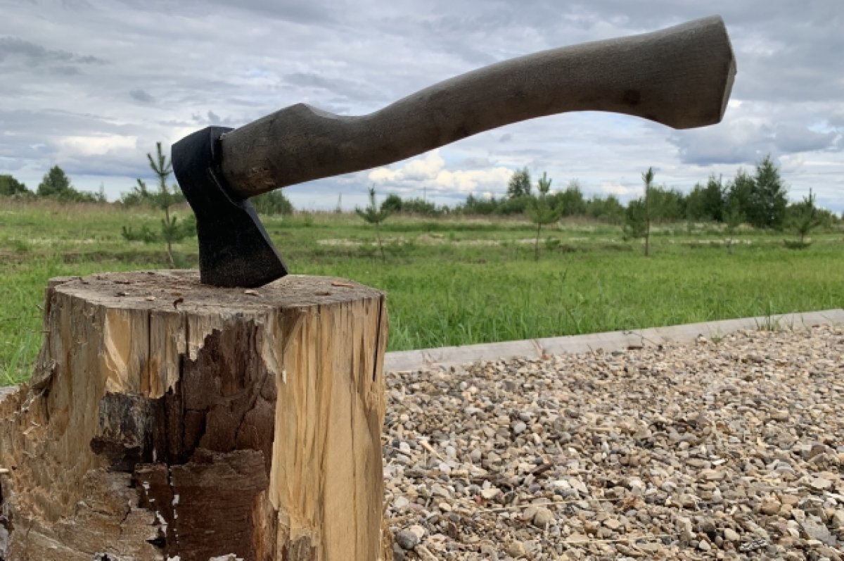    В Краснодарском крае могильщики убили и закопали двоих мужчин