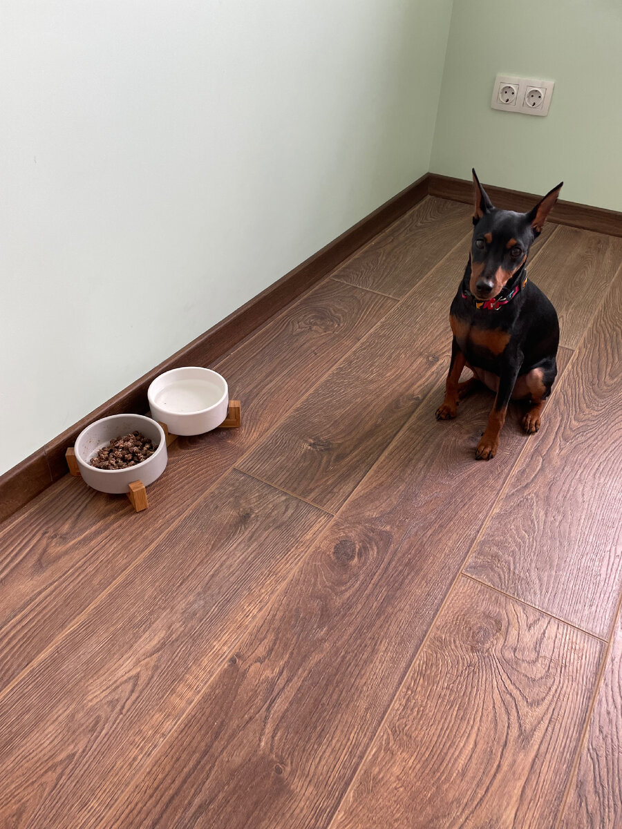 Смирное ожидание