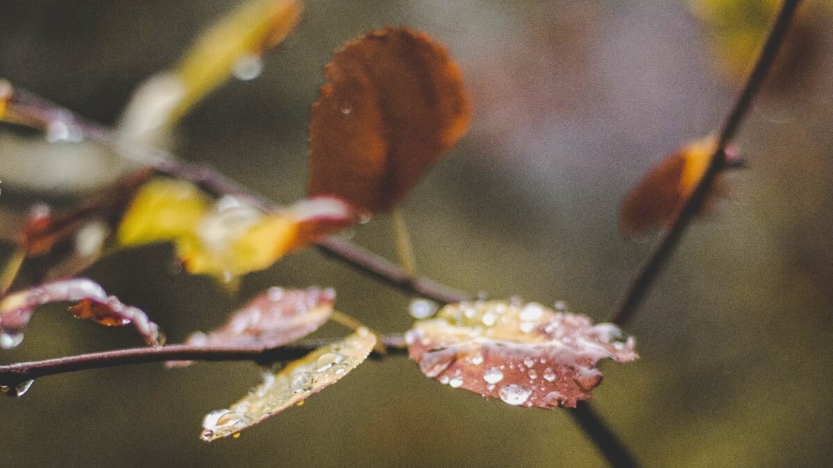    Фото: unsplash.com. Август Макаров