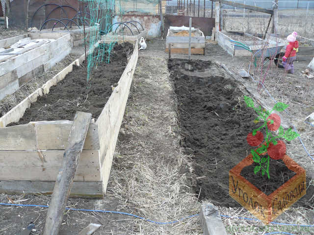 По весне грядки смотрятся веселее