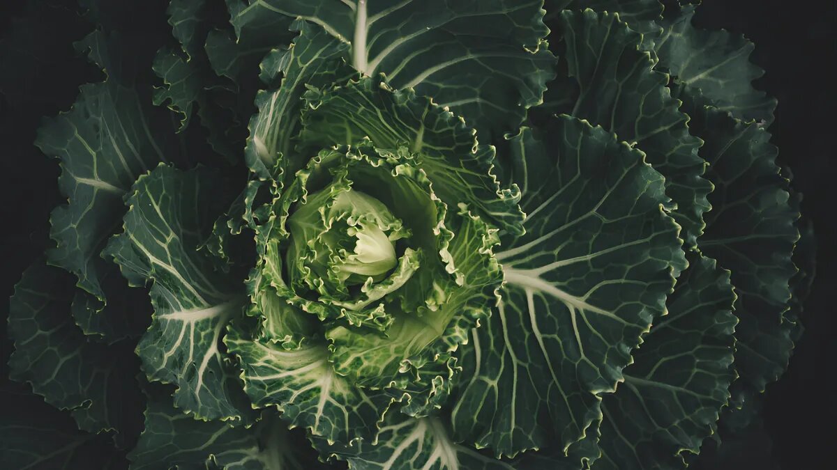 Фото: pxhere.com