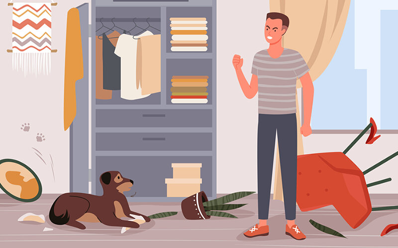 Собака проказничает, грызет провода и портит мебель потому, что у нее есть силы и возможность это делать. Фото Nataliia Darmoroz/Dreamstime