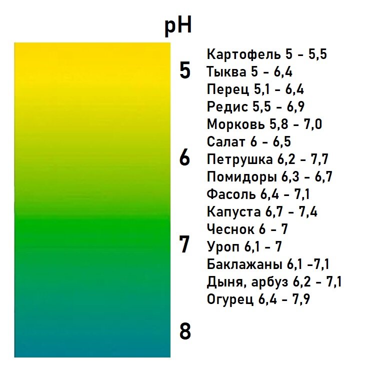 Уровень pH, нужный различным огородным клуьтурам