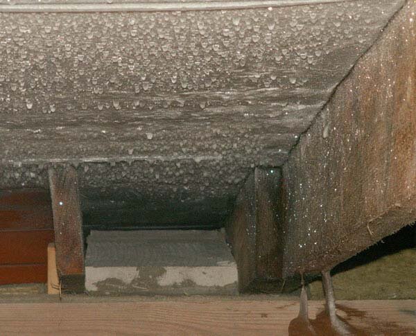 фотография взята в яндекс картинках