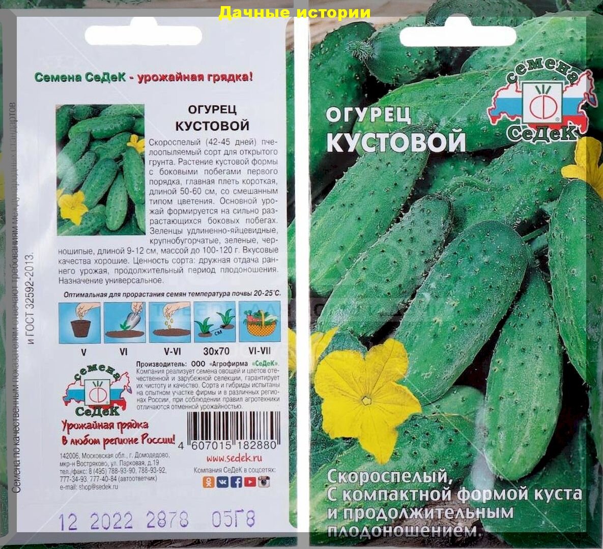 Огурцы кустовой фото описание. Огурец кустовой СЕДЕК. Семена огурец кустовой СЕДЕК. Семена огурцов кустовые. Огурец пальцы Паганини СЕДЕК.