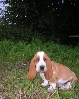  Ой мы появились на свет 1.5 месяца назад.
