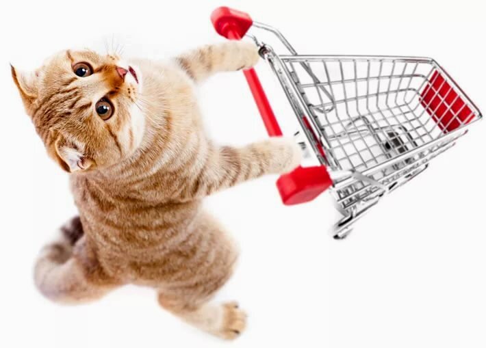 Последний покупатель | Cebepinka | Дзен