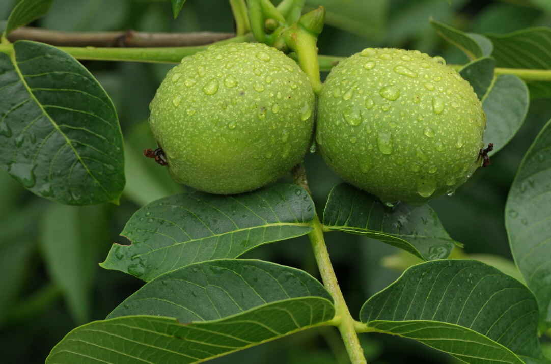 Фото с Инета