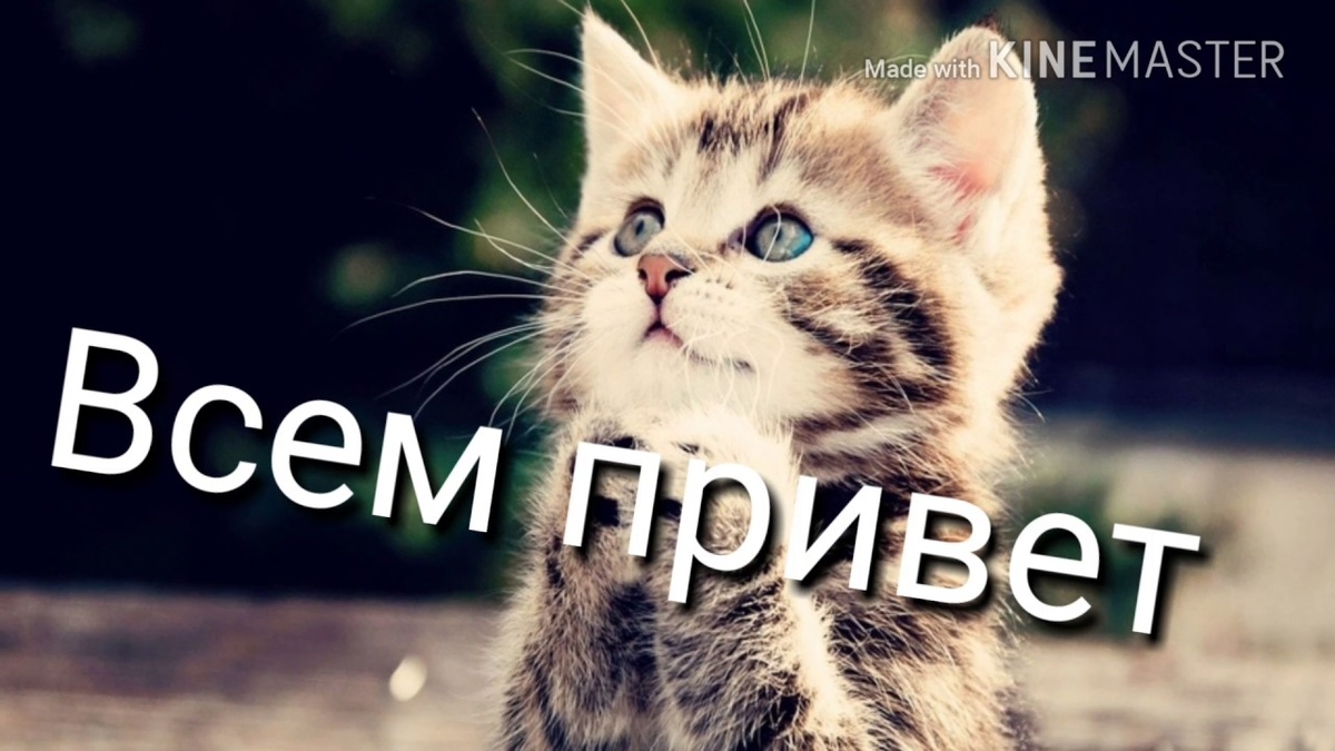 Яндекс картинки
