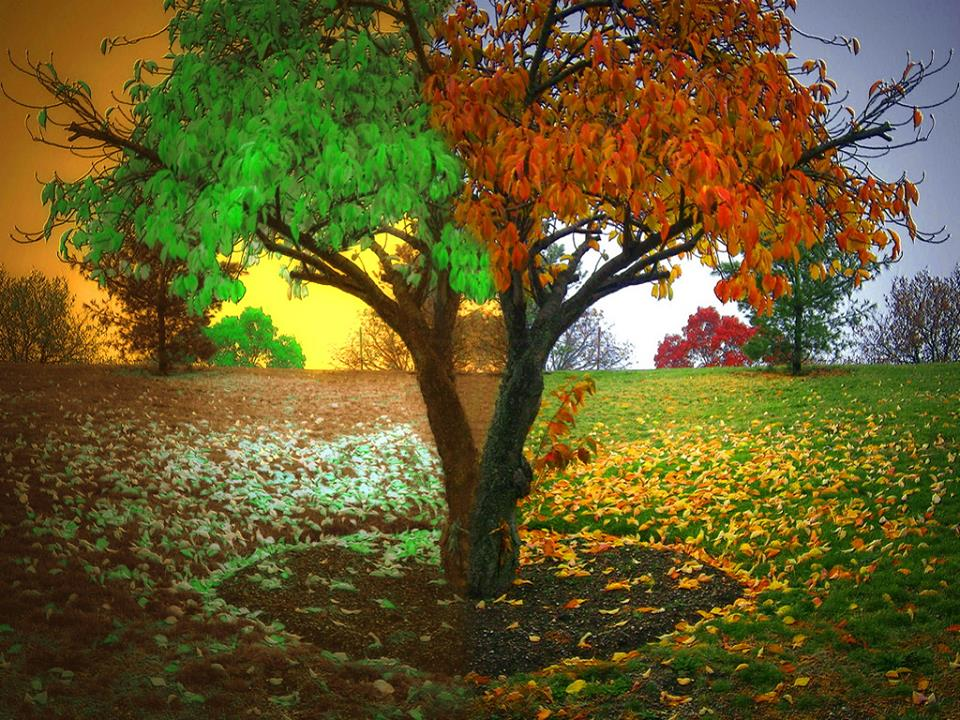 Когда лучше искать работу? - спрашивает меня один из соискателей. Я часто отвечаю на этот вопрос. Практически каждому третьему. Сегодня расскажу и вам.