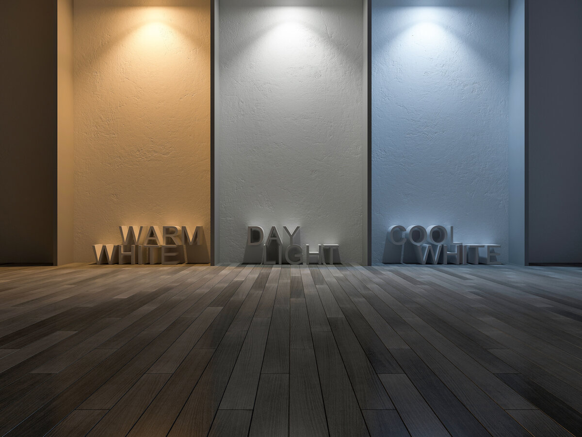 Источник фото -https://clck.ru/TGGi9