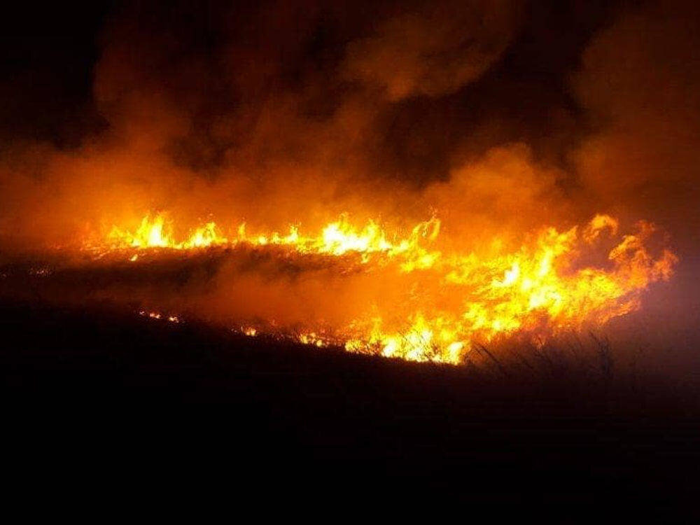 Источник - Яндекс.Картинки