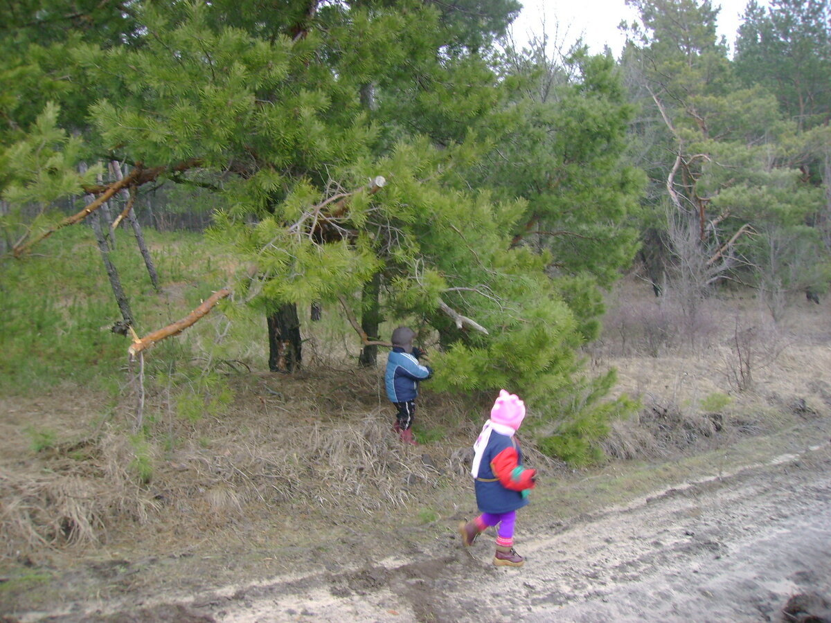 Фотография из собственного архива. Листайте вправо.