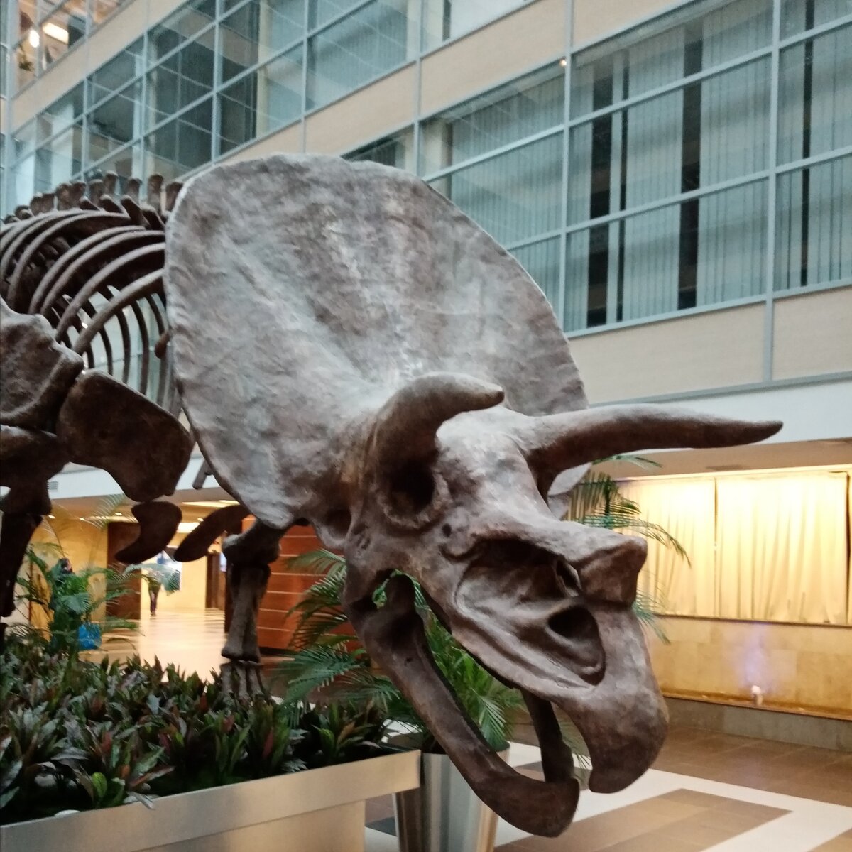 Инстаграм @alena_shengen 