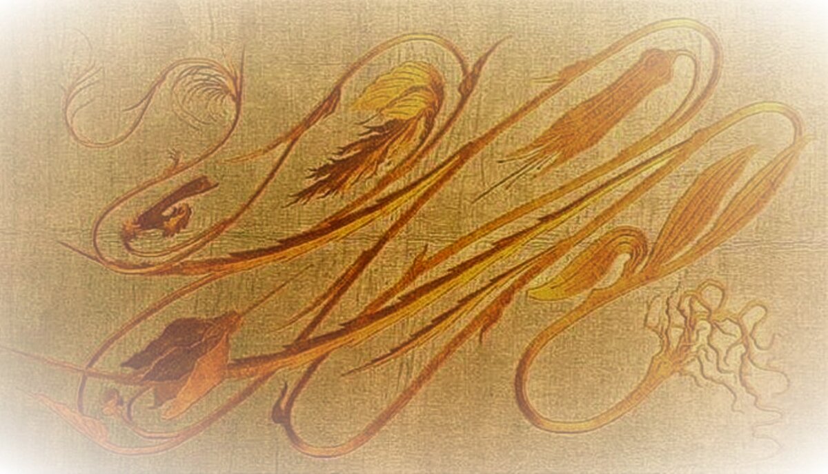 Вышивка "Удар бича"