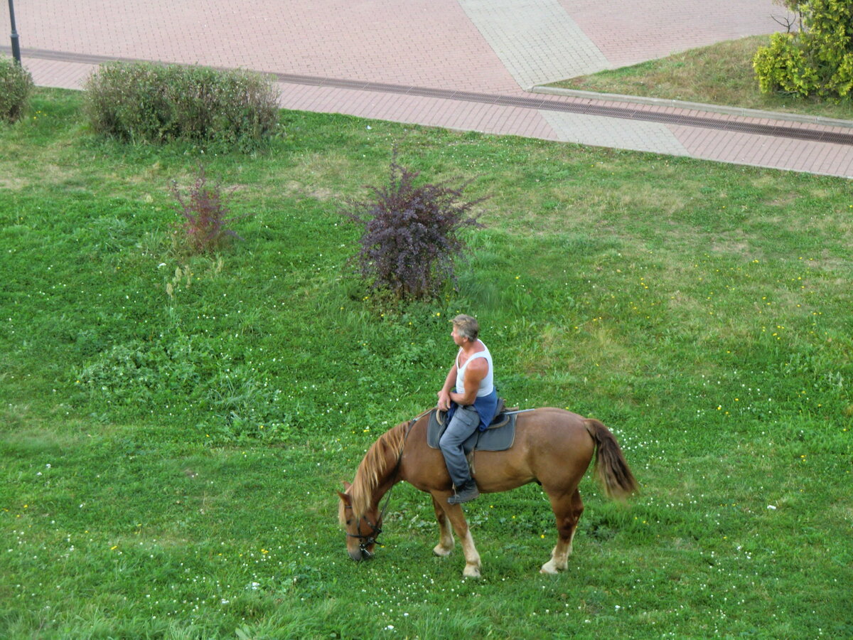 Россия. Московская область. Дмитров