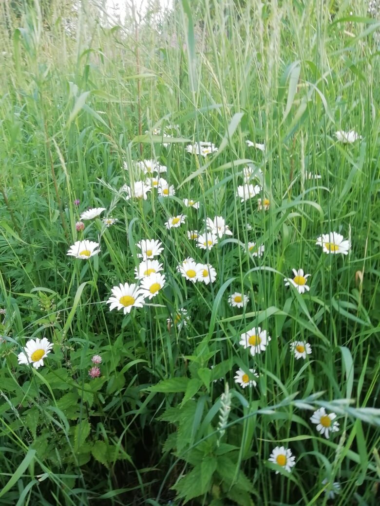 просто фото из личного архива 