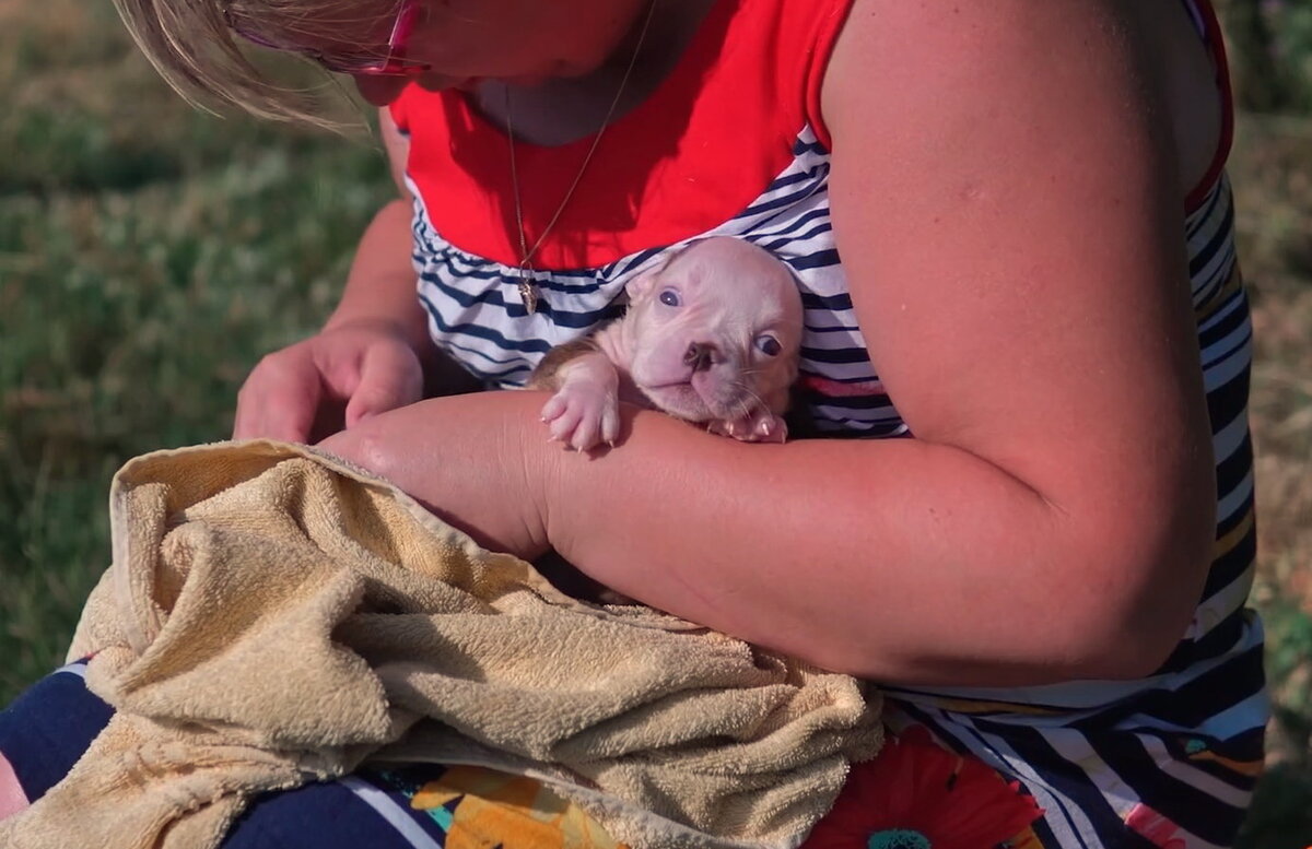 Дюймовочка