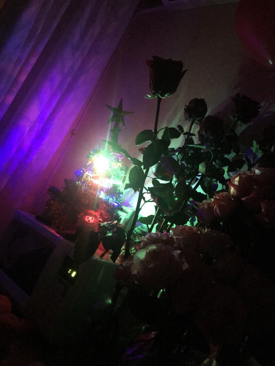 Ночью все по-другому. Фото автора. 