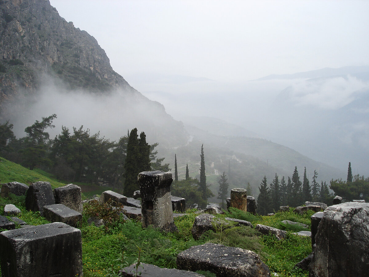 Дельфы в январе 
