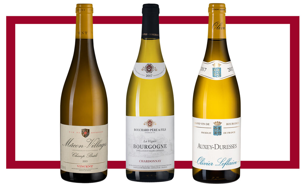 Duffour pere. Бушар эне & ФИС, Бургонь Шардоне. Вино Bourgogne Chardonnay 2020. Бургонь Шардоне Паскаль Бушар. Вино Duffour Pere fils.