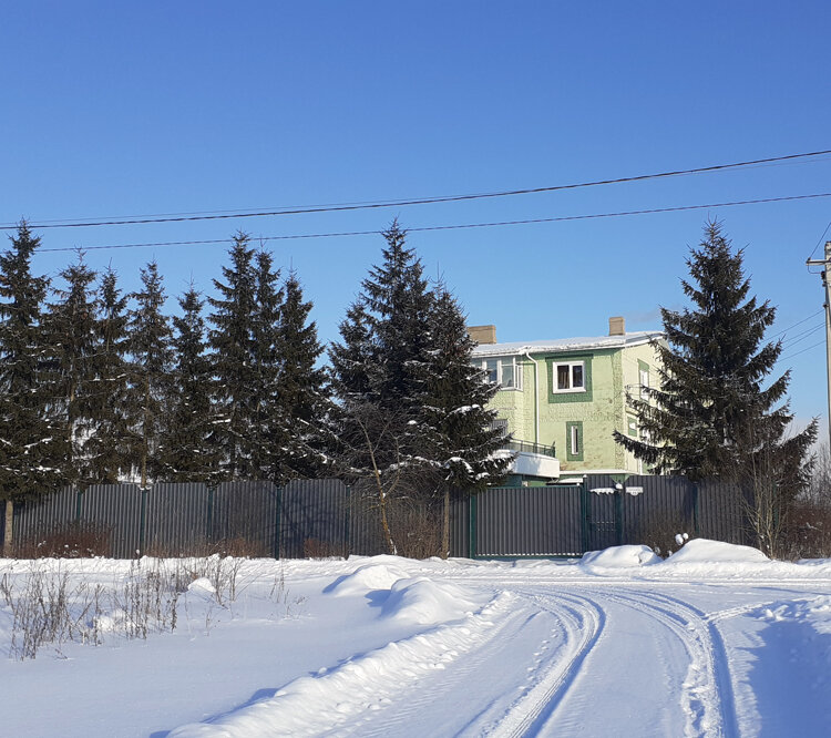 Местные жители любят выращивать на своих участках ели.