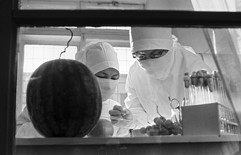 Как СССР боролся со смертельными эпидемиями