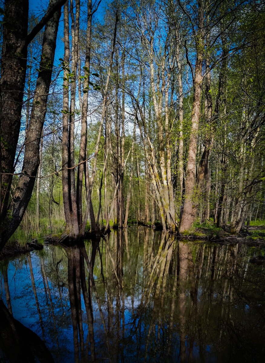 весенние разливы 