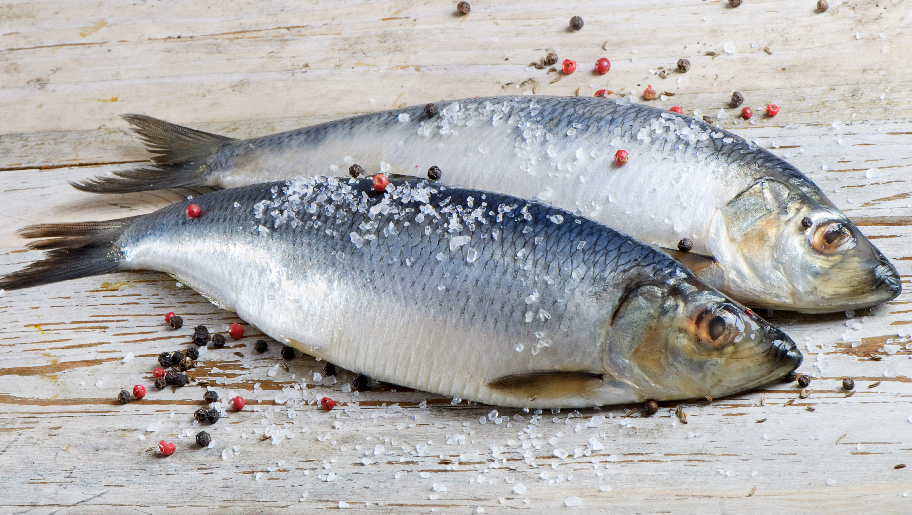 Нежный голландский посол отличается от привычного нам в России