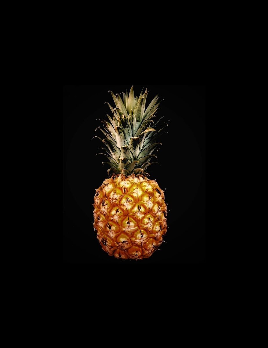 Photo by Julia Druzhinina on unsplash.com 