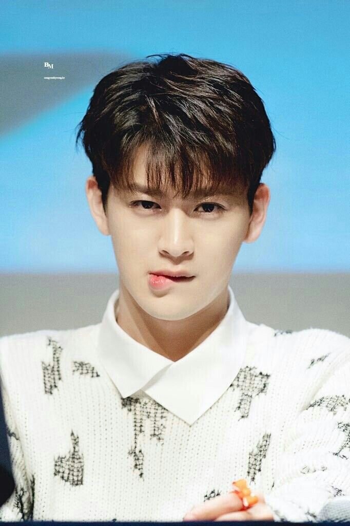 Яндекс картинки 