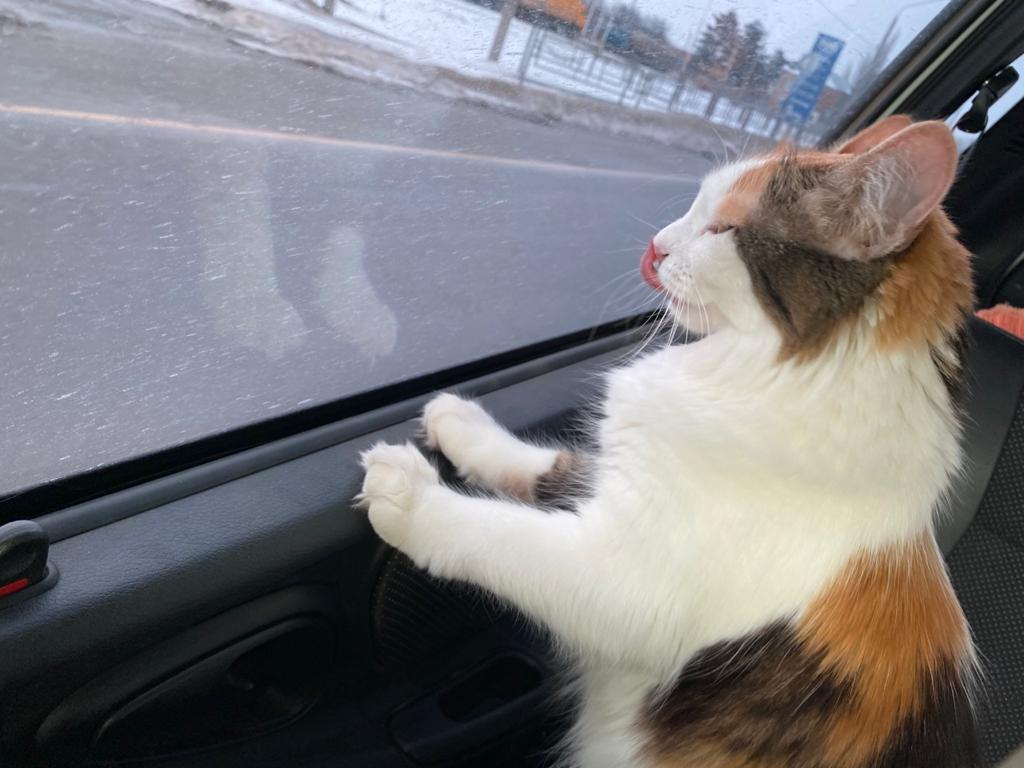 -2