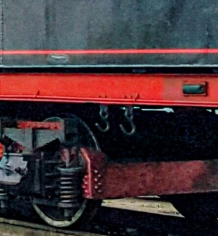 Фото: Алексей Алексеев