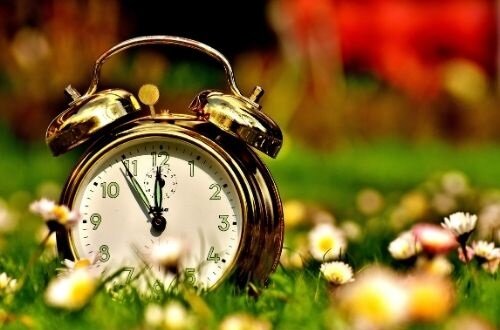 Изображение взято из открытых источников