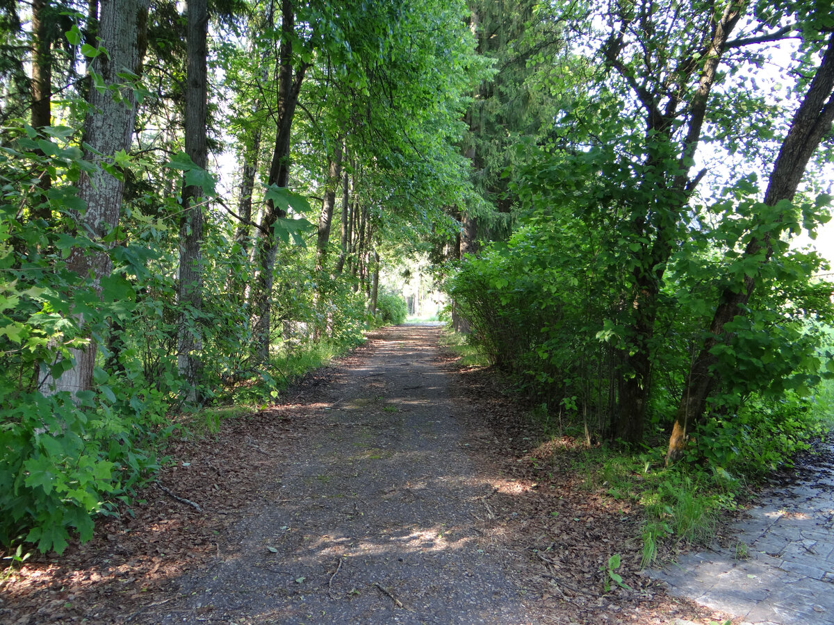 Доброта без умения постоять за себя - это дорога ведущая в пропасть.