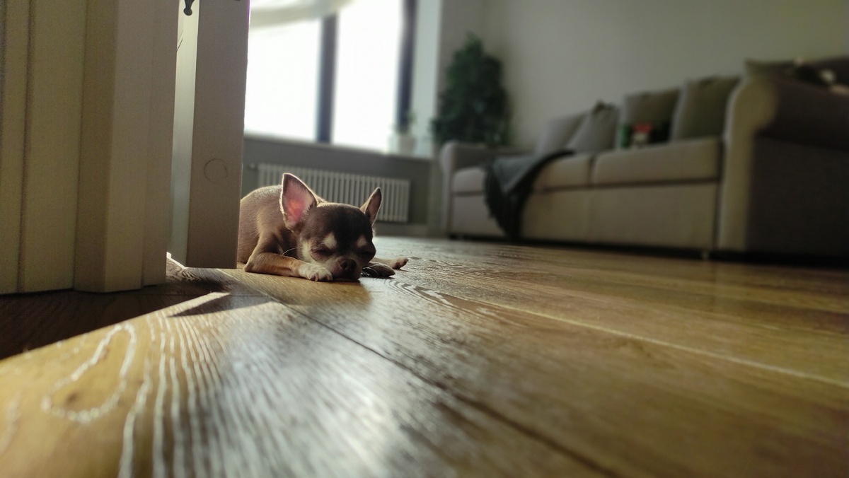 Я лежу на полу