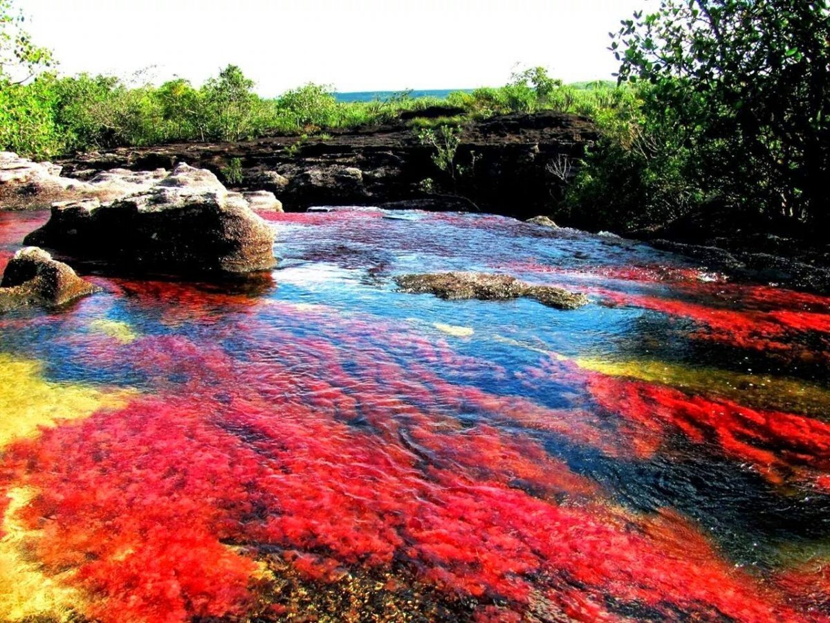 цветные реки