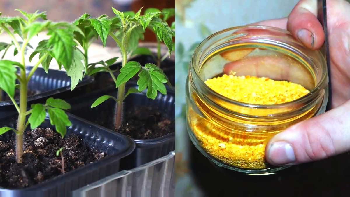 Секретный рецепт моей бабушки