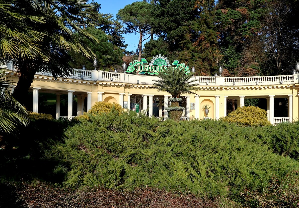 Фгбу сочинский национальный парк, парк дендрарий, сочи. Дендрарий сочи карта парка. Дендрарий сочи карта парка. Сочинский дендропарк японский садик. Как доехать до дендрария.