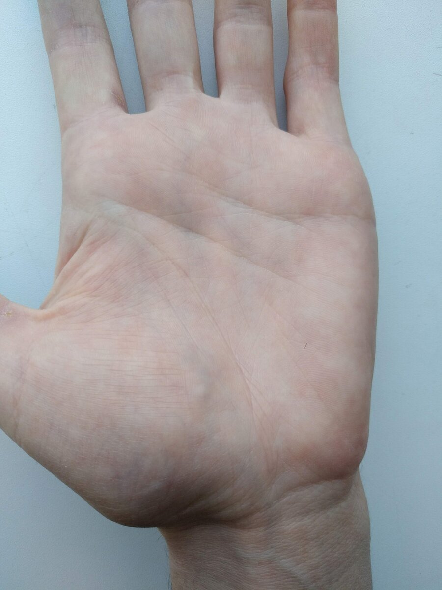 ладонь приближённо левая